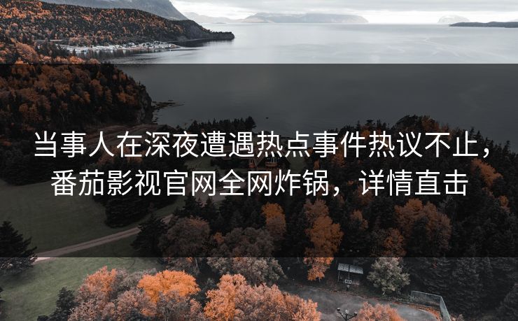 当事人在深夜遭遇热点事件热议不止,番茄影视官网全网炸锅,详情直击 当事人在深夜遭遇热点事件热议不止,番茄影视官网全网炸锅,详情直击