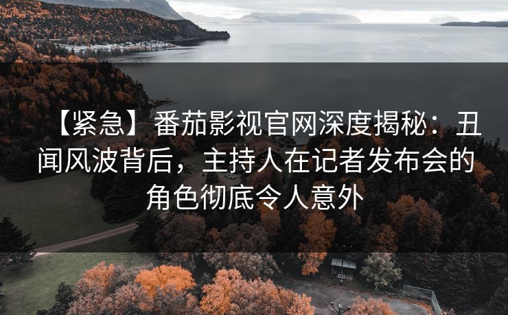 【紧急】番茄影视官网深度揭秘：丑闻风波背后，主持人在记者发布会的角色彻底令人意外