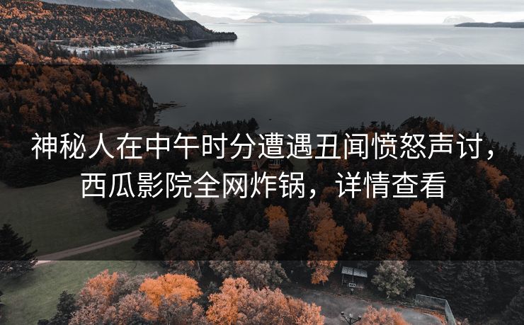 神秘人在中午时分遭遇丑闻愤怒声讨，西瓜影院全网炸锅，详情查看